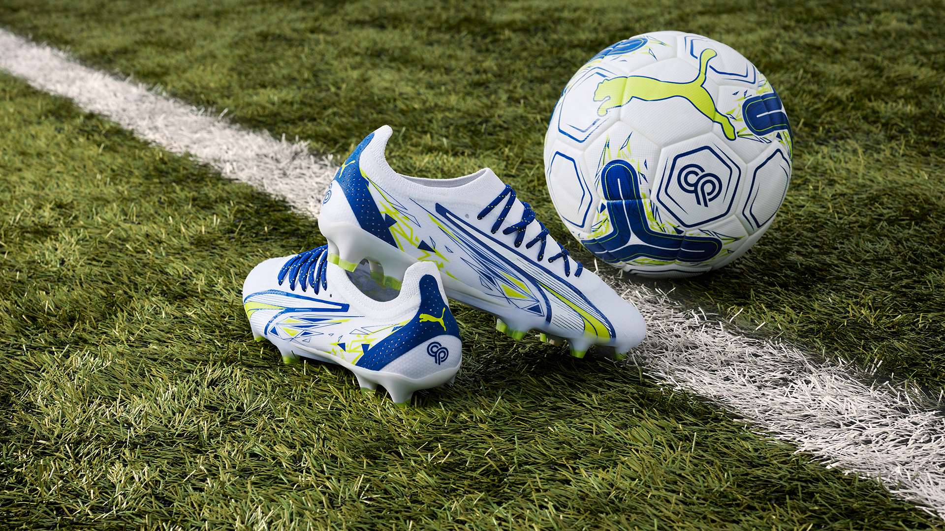 手们不仅为 手们不仅为