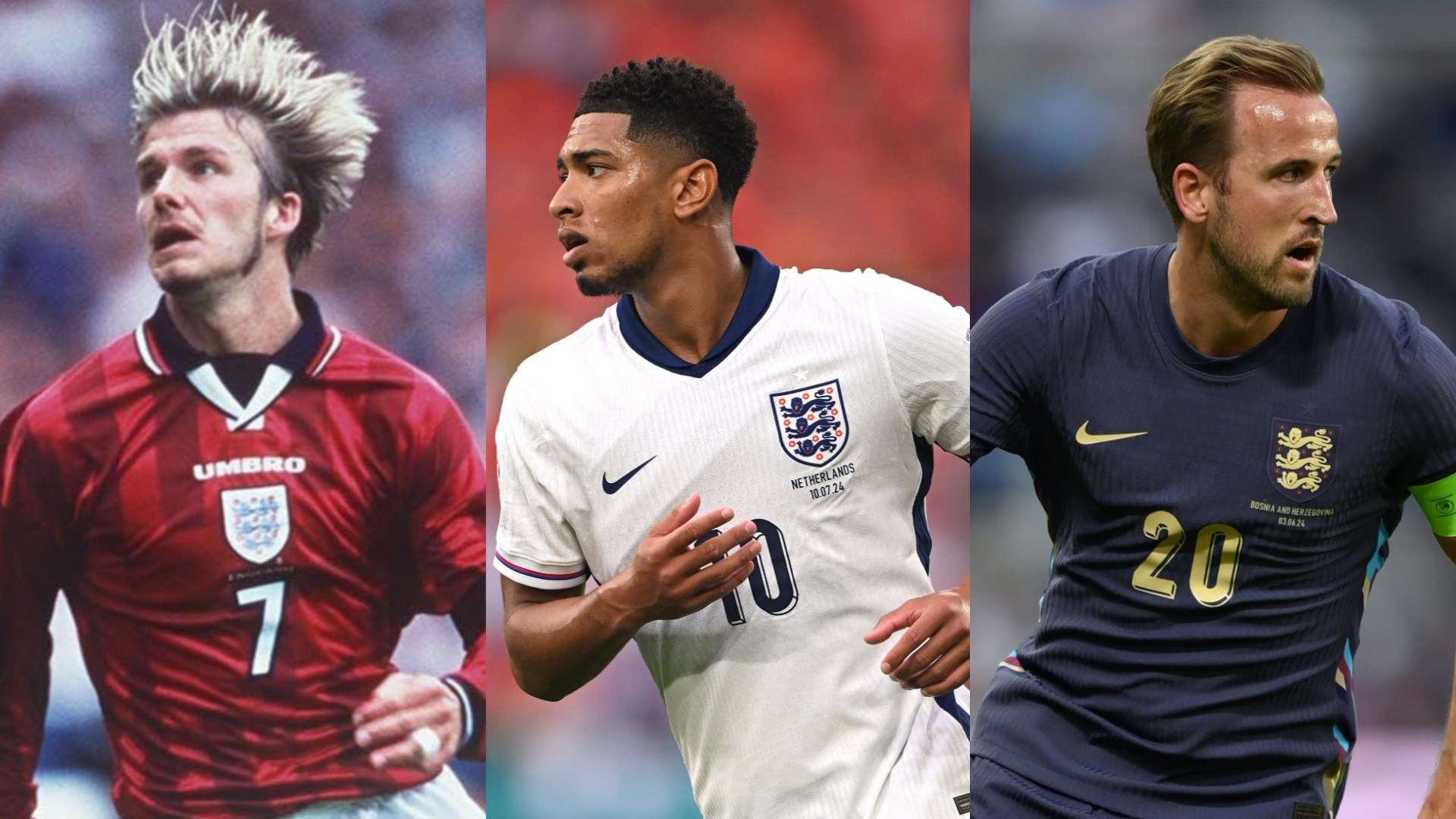 他们不仅能 他们不仅能