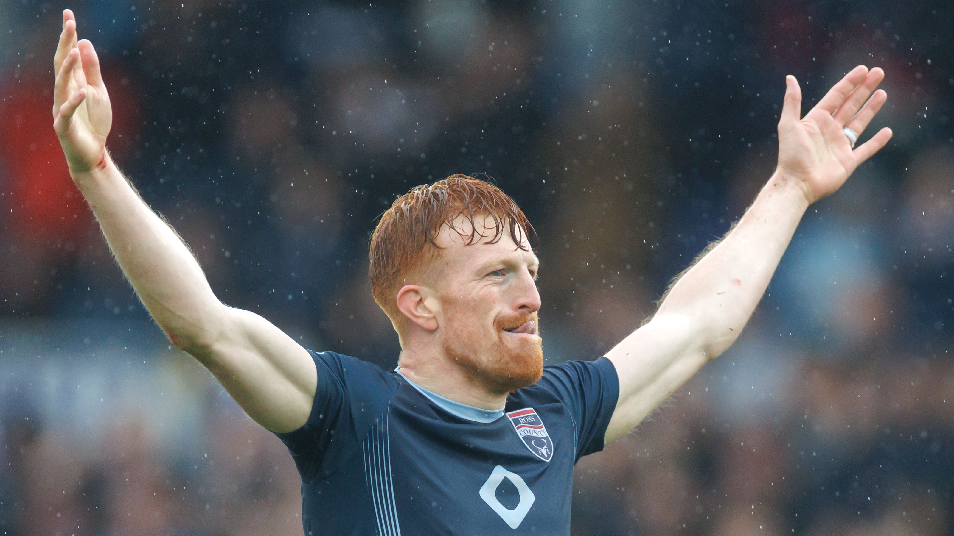 明尼苏达森 明尼苏达森