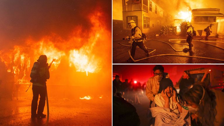 年轻的尼尔 年轻的尼尔